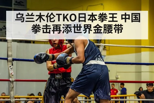boxing match action