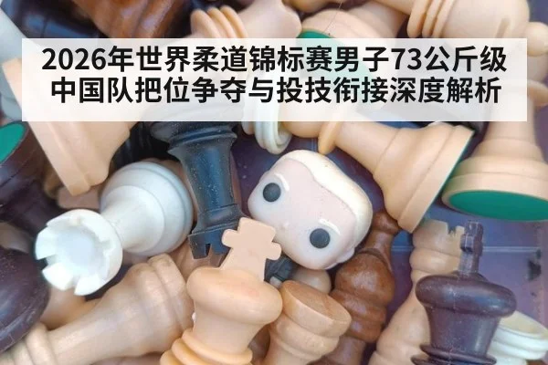 2026年世界柔道锦标赛男子73公斤级中国队把位争夺与投技衔接深度解析（nine game）